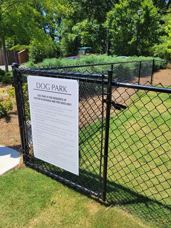 Dog park